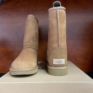 UGG W CLASSIC SHORT ll in color Chestnut